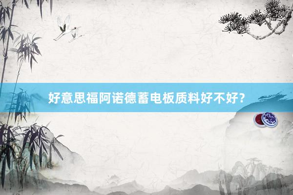 好意思福阿诺德蓄电板质料好不好？